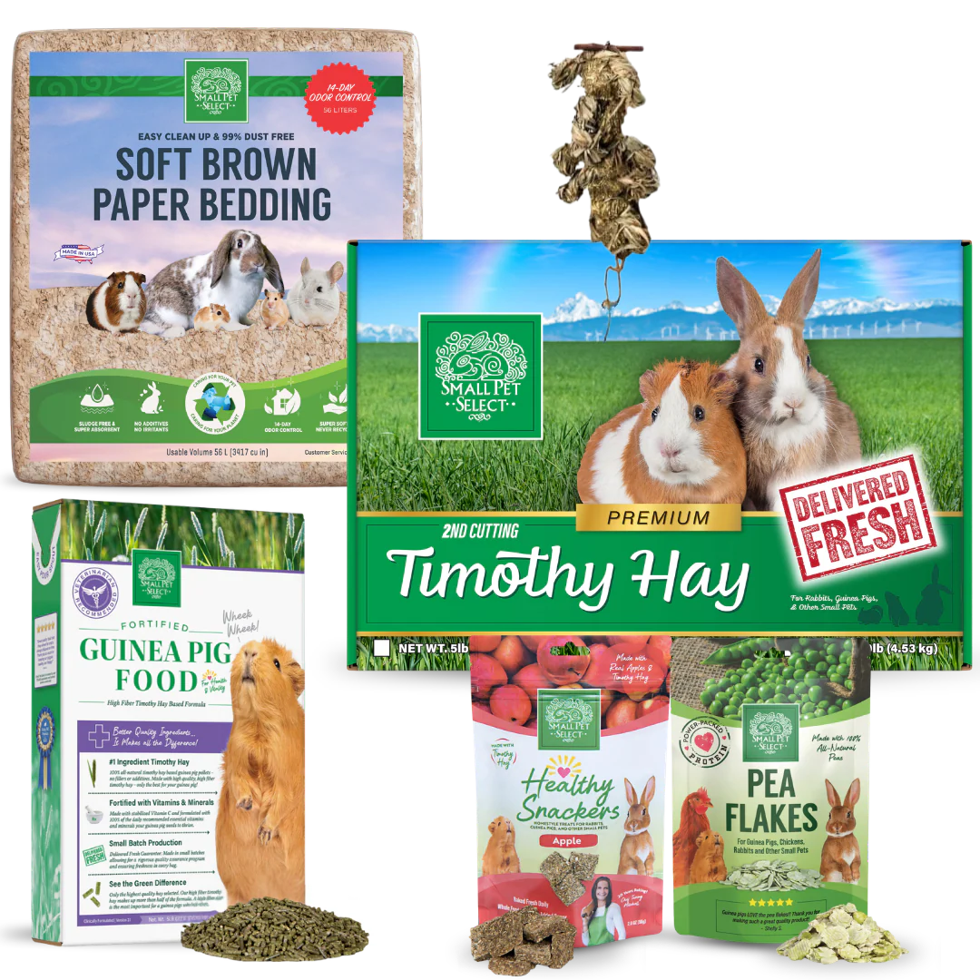 Food for Guinea Pigs